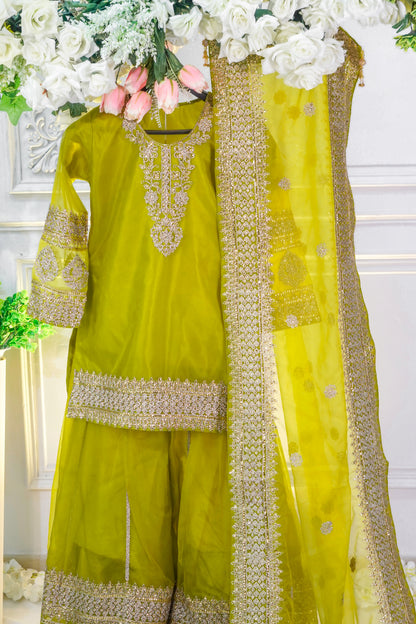 SAP01-3 pcs-Mehndi