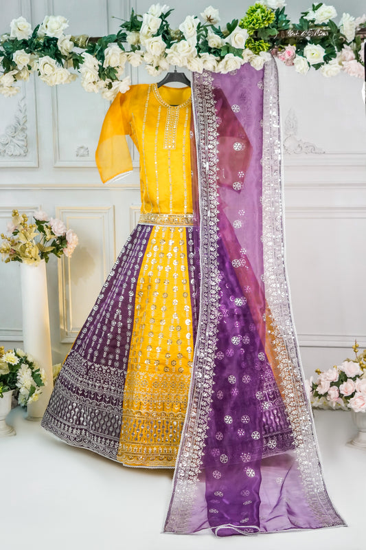 SA06 Flair 80 Lehnga 3 pcs