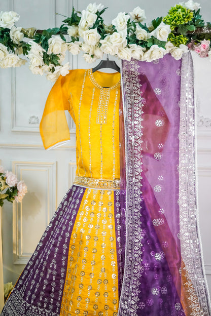 SA06 Flair 80 Lehnga 3 pcs