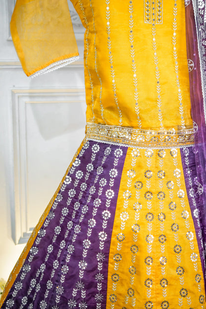 SA06 Flair 80 Lehnga 3 pcs